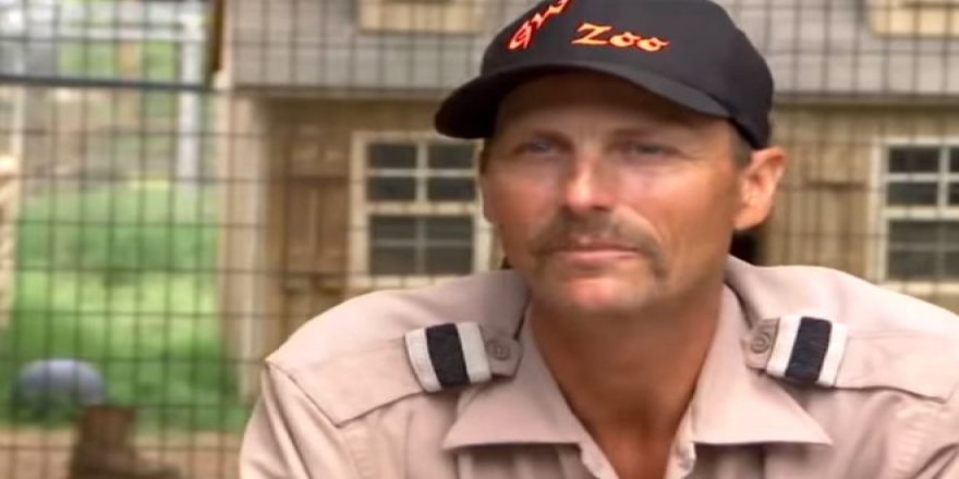 Aslanın kafesine köpek bıraktılar! Herkes, olanları şaşkınlıkla izledi