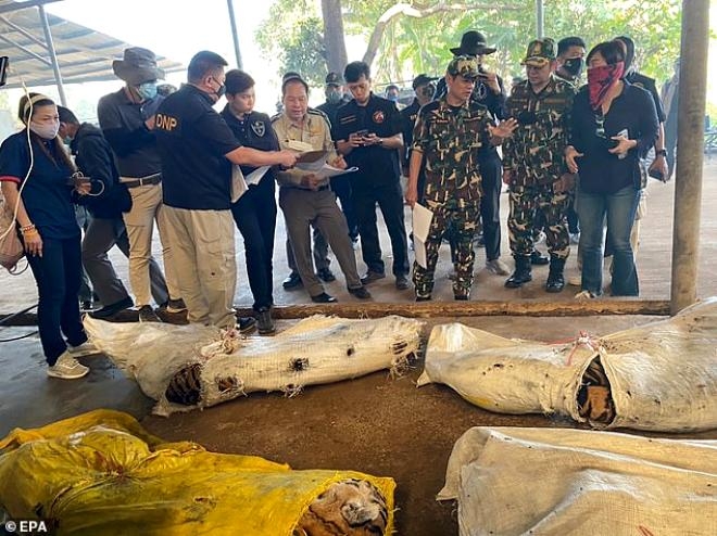 Hayvanat bahçesine baskın 6