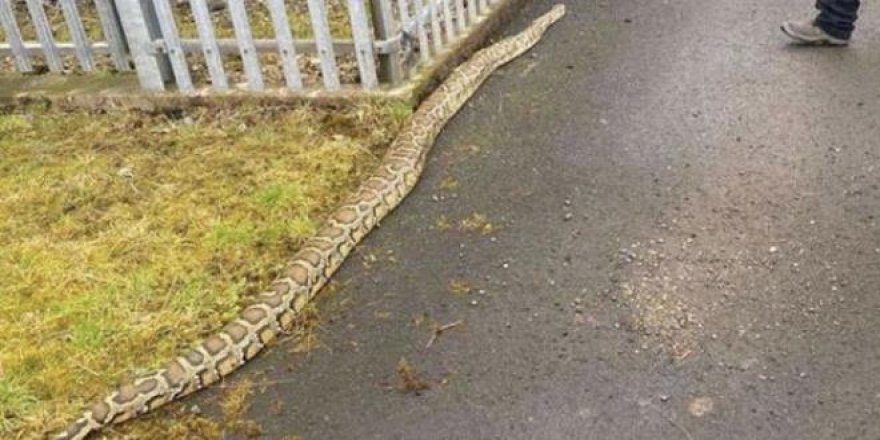 Polis şikayetlere yetişemiyor!