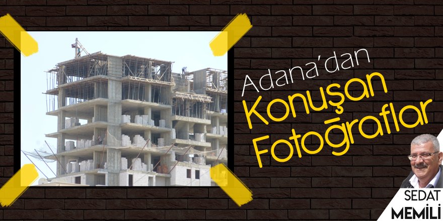 Şaştık kel, nerenden öpelim?