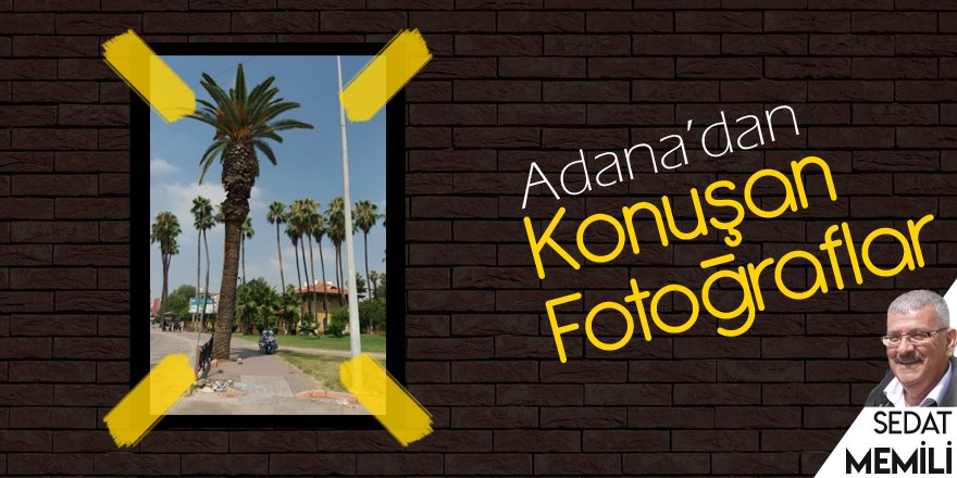 Ağaç gölgesinde 35 yıl