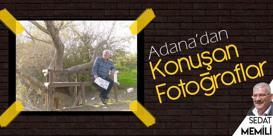 Seyhan kıyısında ağaç gölgesi