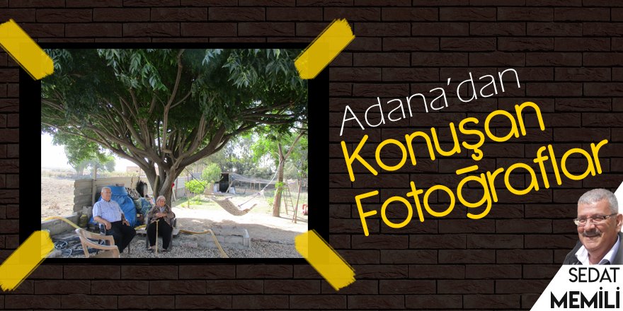 Yeşilköy'den Bir an...