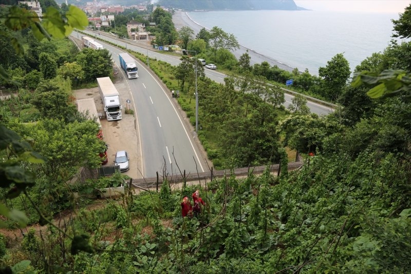 Artvin'de tünelin üstünü tarlaya çevirdiler 14