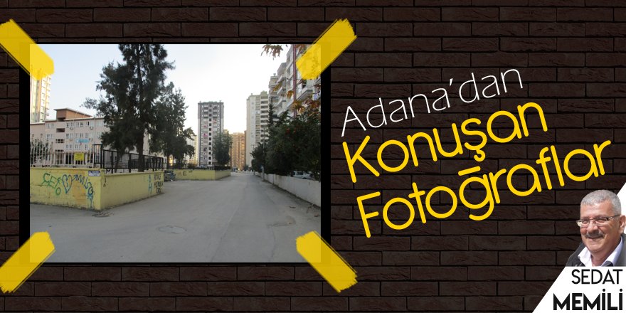 Sokaklar canlıdır ya da ölü...