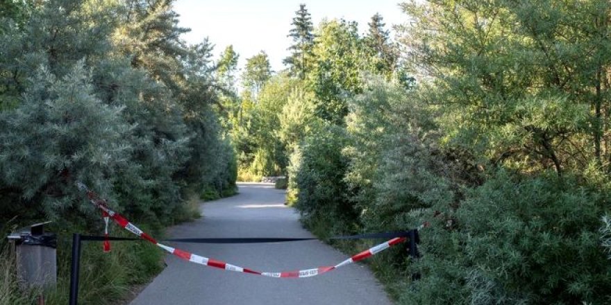 Kaplan, kafesine gören görevliyi parçalayarak öldürdü