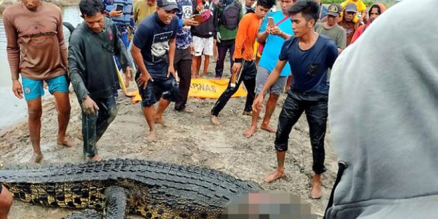 Nehirde balık tutmak isteyen kadın timsaha yem oldu