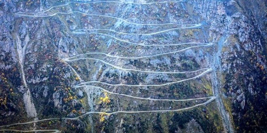 Görüntüsü bile ürkütüyor!