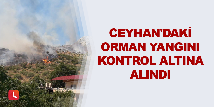 Ceyhan'daki orman yangını kontrol altına alındı