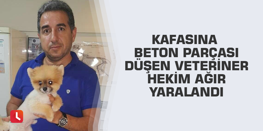 Kafasına beton parçası düşen veteriner hekim ağır yaralandı