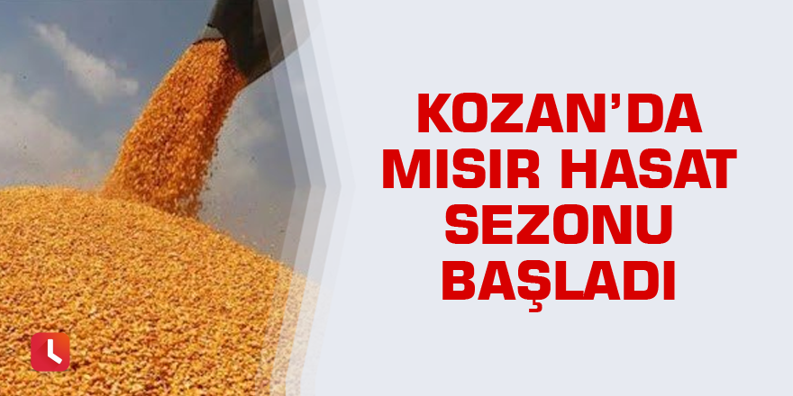 Kozan’da mısır hasat sezonu başladı