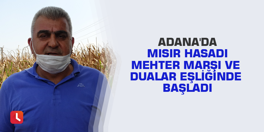 Adana'da mısır hasadı mehter marşı ve dualar eşliğinde başladı