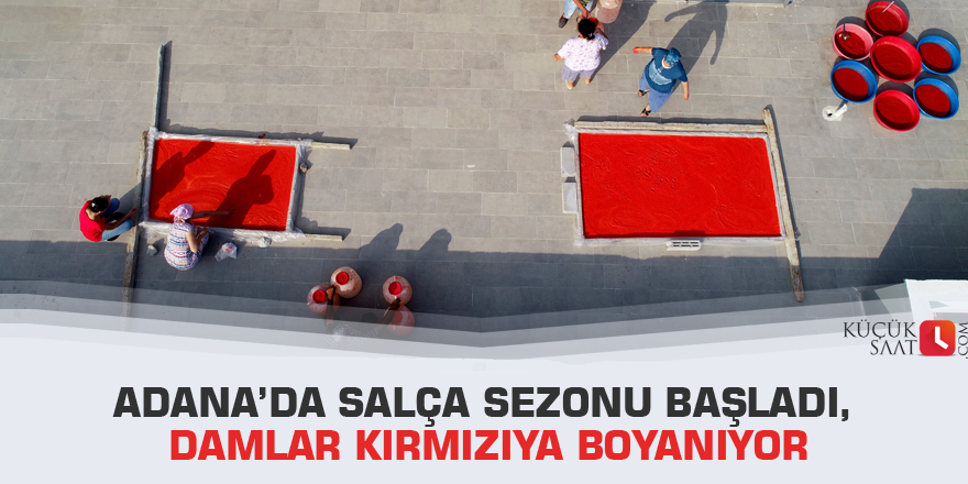 Adana’da salça sezonu başladı, damlar kırmızıya boyanıyor