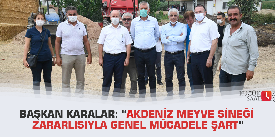 Başkan Karalar: “Akdeniz meyve sineği zararlısıyla genel mücadele şart”