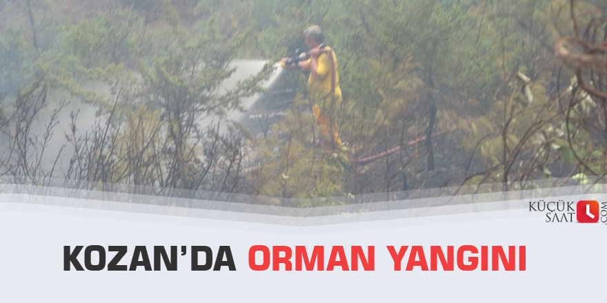 Kozan’da orman yangını