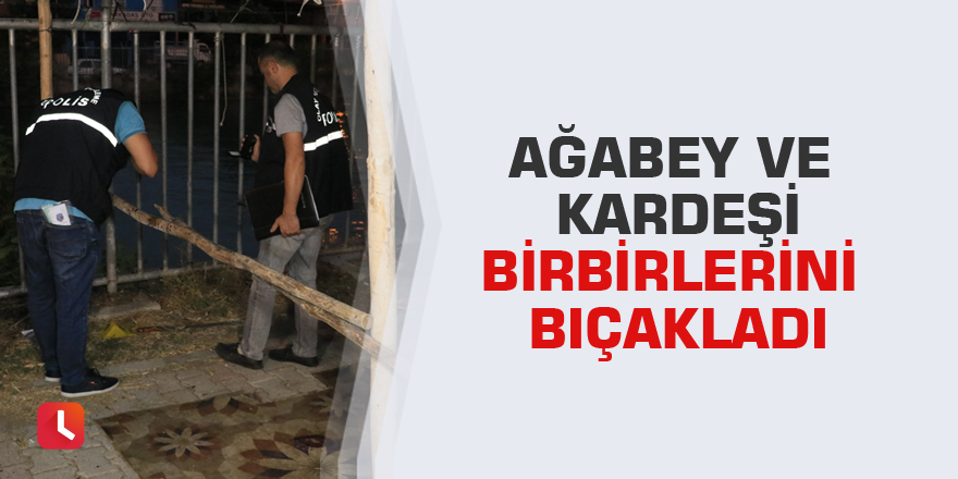 Ağabey ve kardeşi birbirlerini bıçakladı