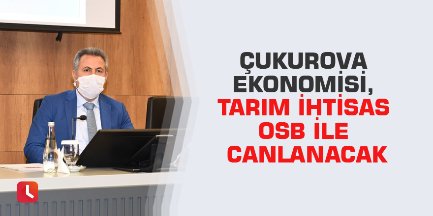 Çukurova ekonomisi, Tarım İhtisas OSB ile canlanacak