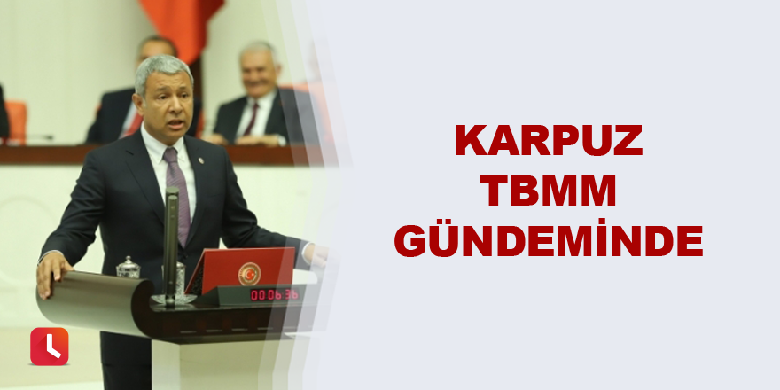 Karpuz TBMM gündeminde