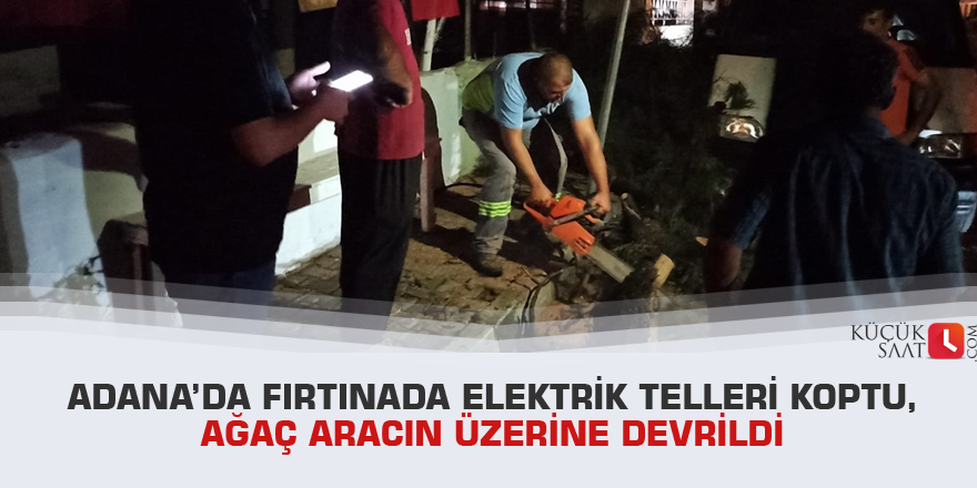 Adana’da fırtınada elektrik telleri koptu, ağaç aracın üzerine devrildi