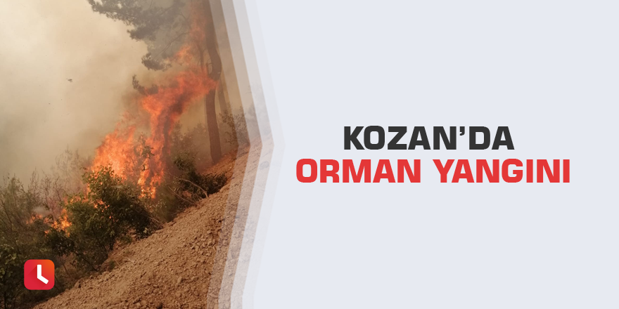 Kozan’da orman yangını