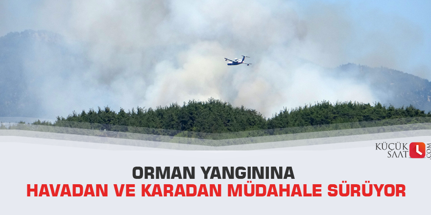 Orman yangınına havadan ve karadan müdahale sürüyor