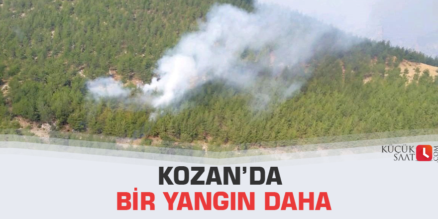 Kozan’da bir yangın daha