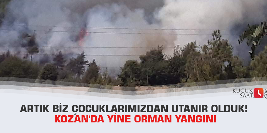Artık biz çocuklarımızdan utanır olduk! Kozan'da yine orman yangını