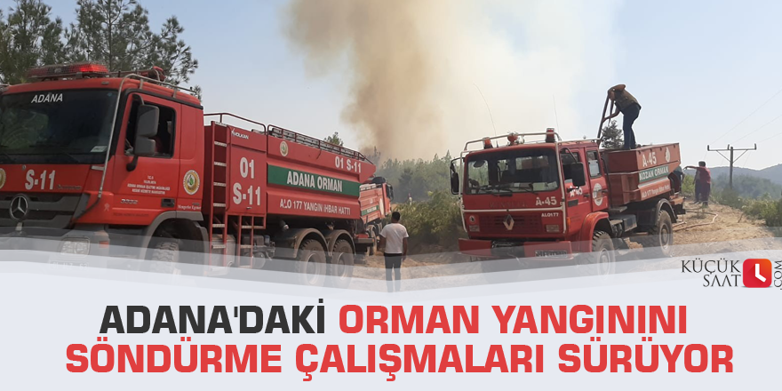 Adana'daki orman yangınını söndürme çalışmaları sürüyor