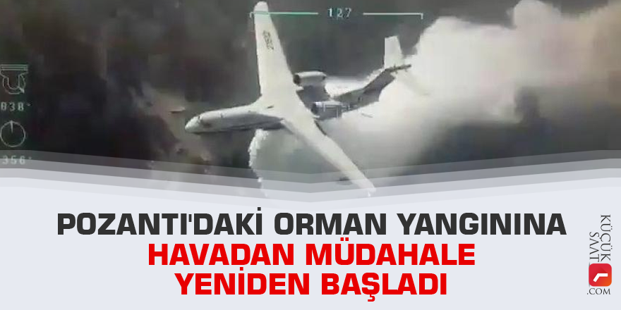 Pozantı'daki orman yangınına havadan müdahale yeniden başladı