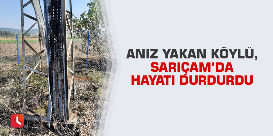 Anız yakan köylü, Sarıçam’da hayatı durdurdu