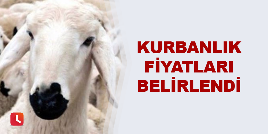 Kurbanlık fiyatları belirlendi