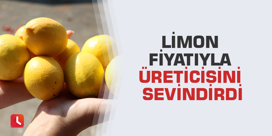 Limon fiyatıyla üreticisini sevindirdi