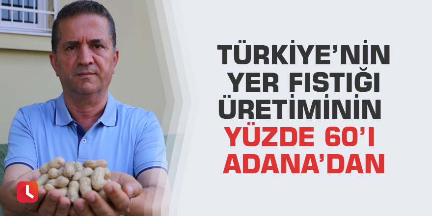 Türkiye’nin yer fıstığı üretiminin yüzde 60’ı Adana’dan