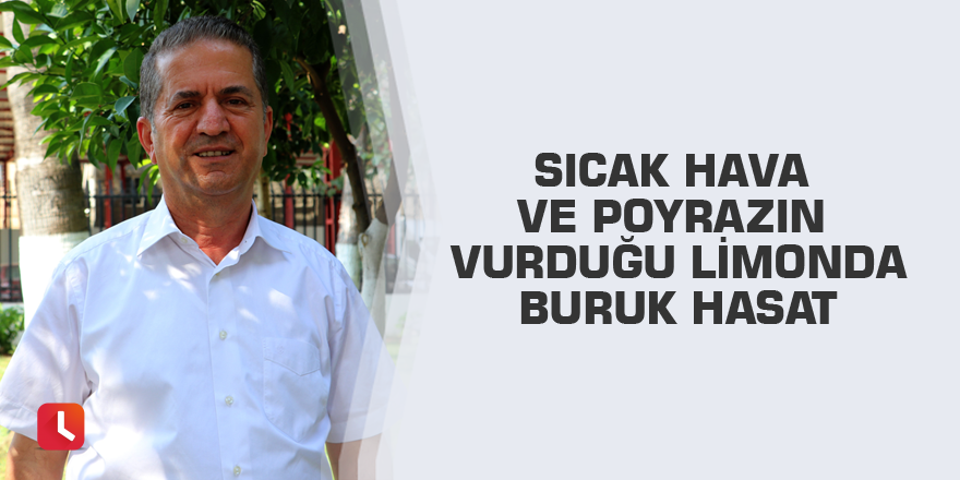 Sıcak hava ve poyrazın vurduğu limonda buruk hasat