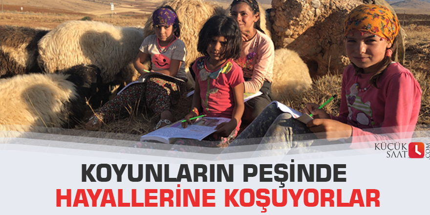 Koyunların peşinde hayallerine koşuyorlar
