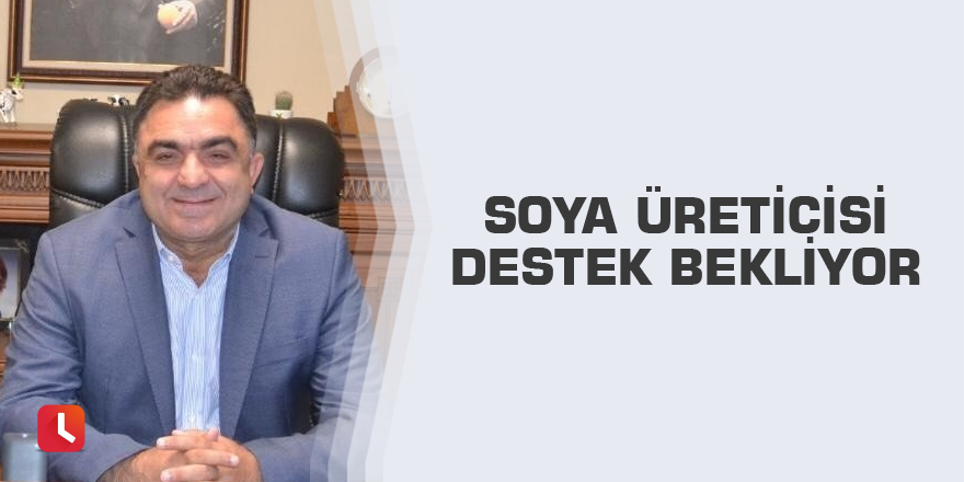Soya üreticisi destek bekliyor