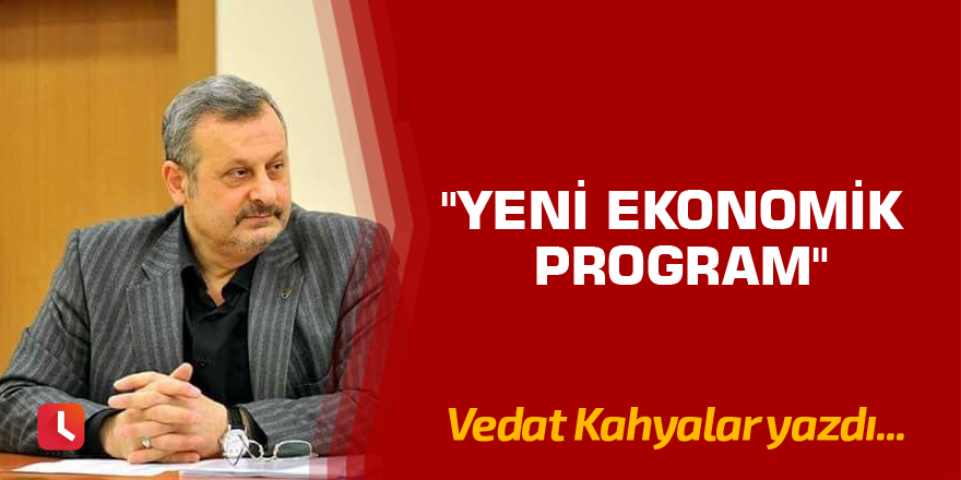 " Yeni Ekonomik Program "