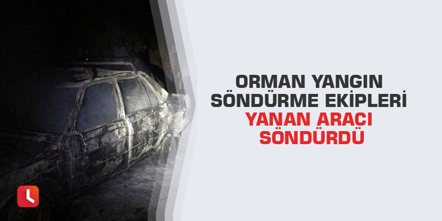Orman yangın söndürme ekipleri yanan aracı söndürdü