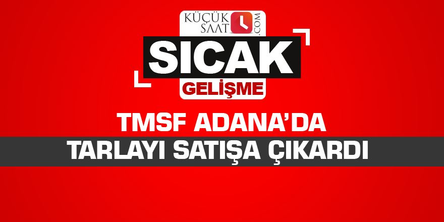 Muhammen bedeli 11 milyon lira: TMSF, Çukurova Seyhan Gayrimenkulleri'ni satışa çıkardı
