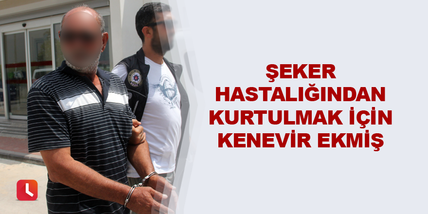 Şeker hastalığından kurtulmak için kenevir ekmiş