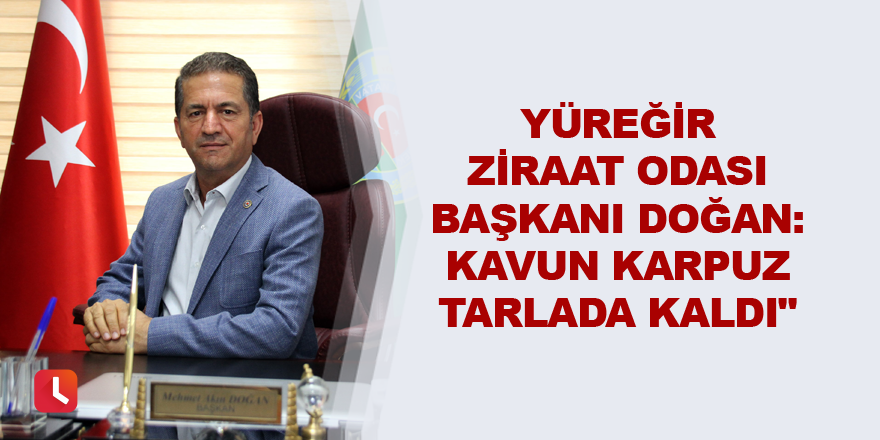 "Kavun karpuz tarlada kaldı"