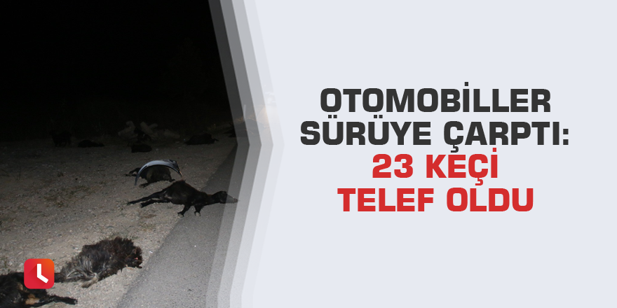 Otomobiller sürüye çarptı: 23 keçi telef oldu