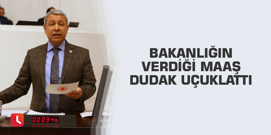 Bakanlığın verdiği maaş dudak uçuklattı