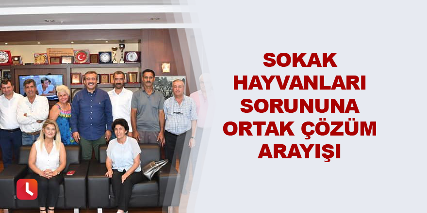 Sokak hayvanları sorununa ortak çözüm arayışı