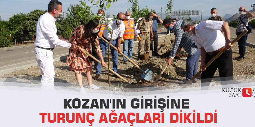 Kozan'ın girişine turunç ağaçları dikildi