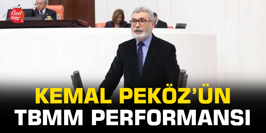 Kemal Peköz'ün TBMM performansı