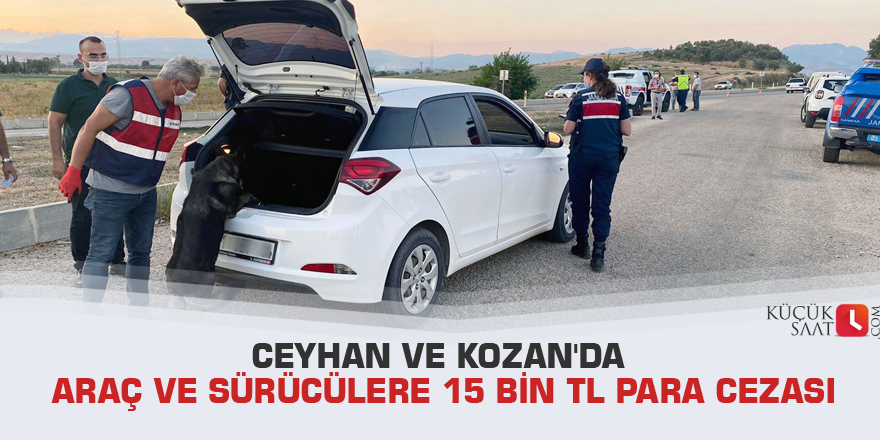 Ceyhan ve Kozan'da araç ve sürücülere 15 bin TL para cezası