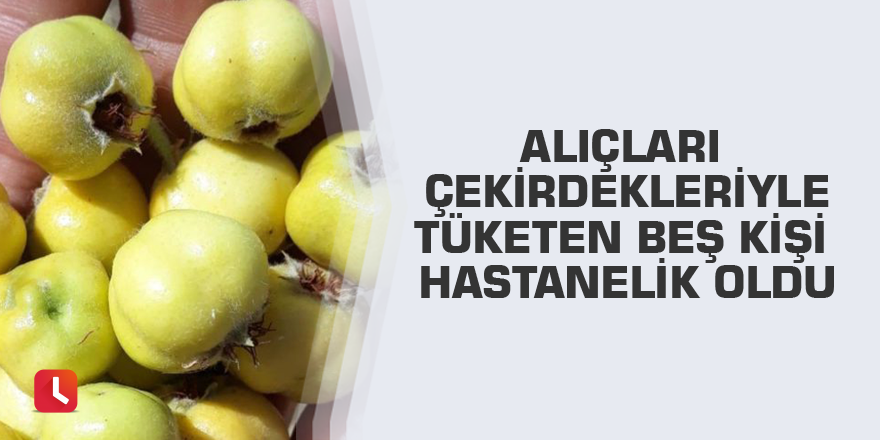 Alıçları çekirdekleriyle tüketen beş kişi hastanelik oldu