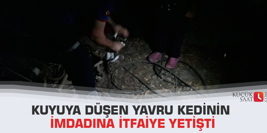 Kuyuya düşen yavru kedinin imdadına itfaiye yetişti