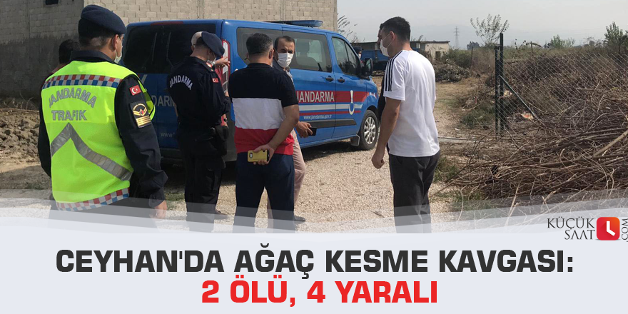 Ceyhan'da ağaç kesme kavgası: 2 ölü, 4 yaralı